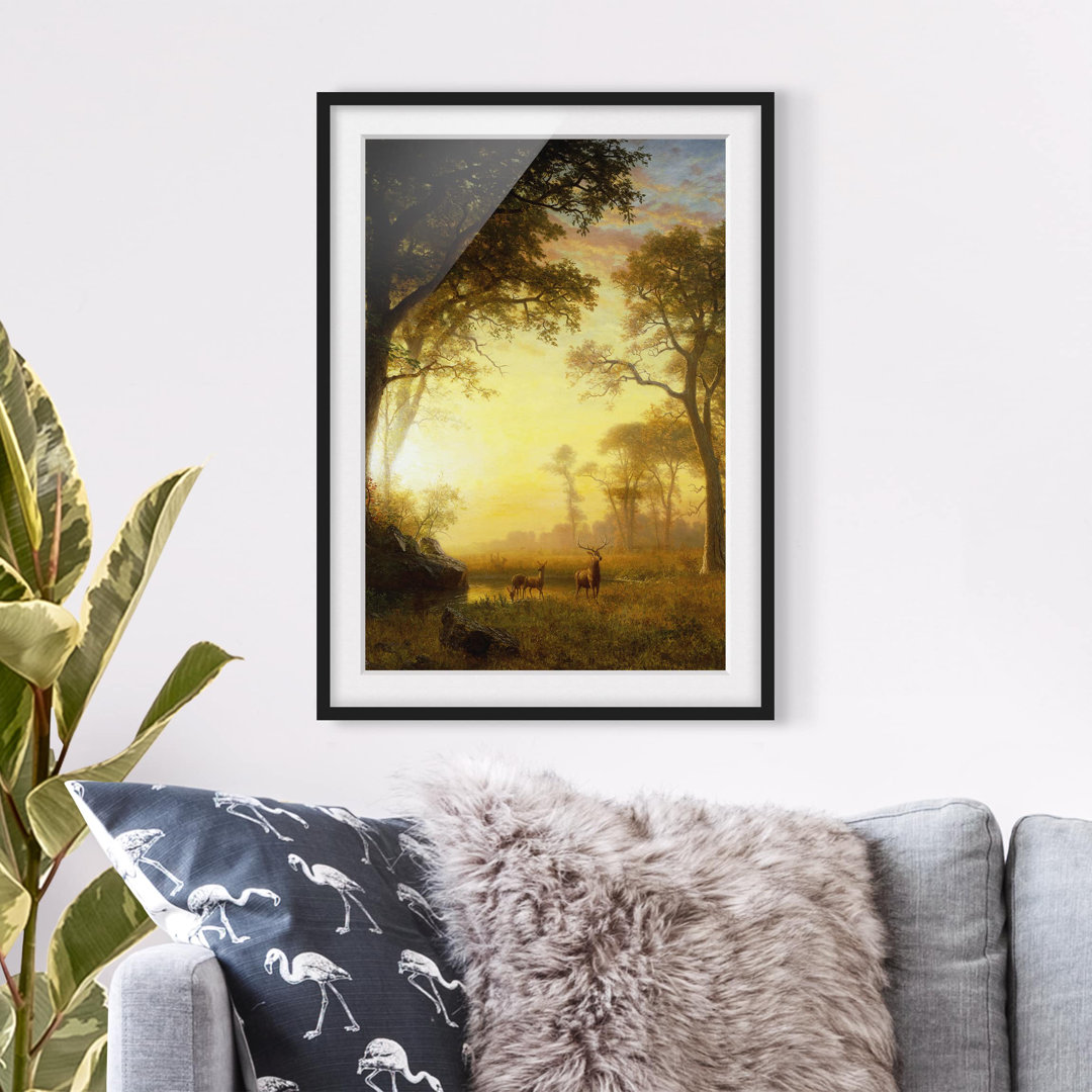 Gerahmtes Poster Sunlit Clearing