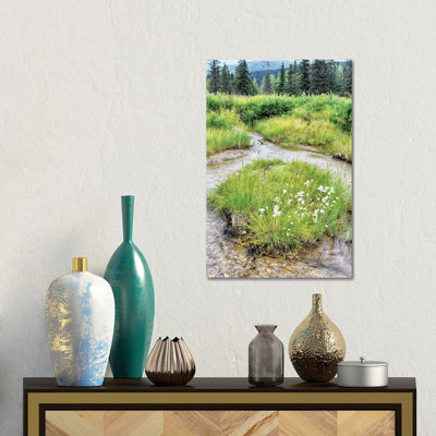 Alaska Marshland 1 Piece Wall Art on Canvas