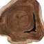 Celine Solid Wood Coffee Table