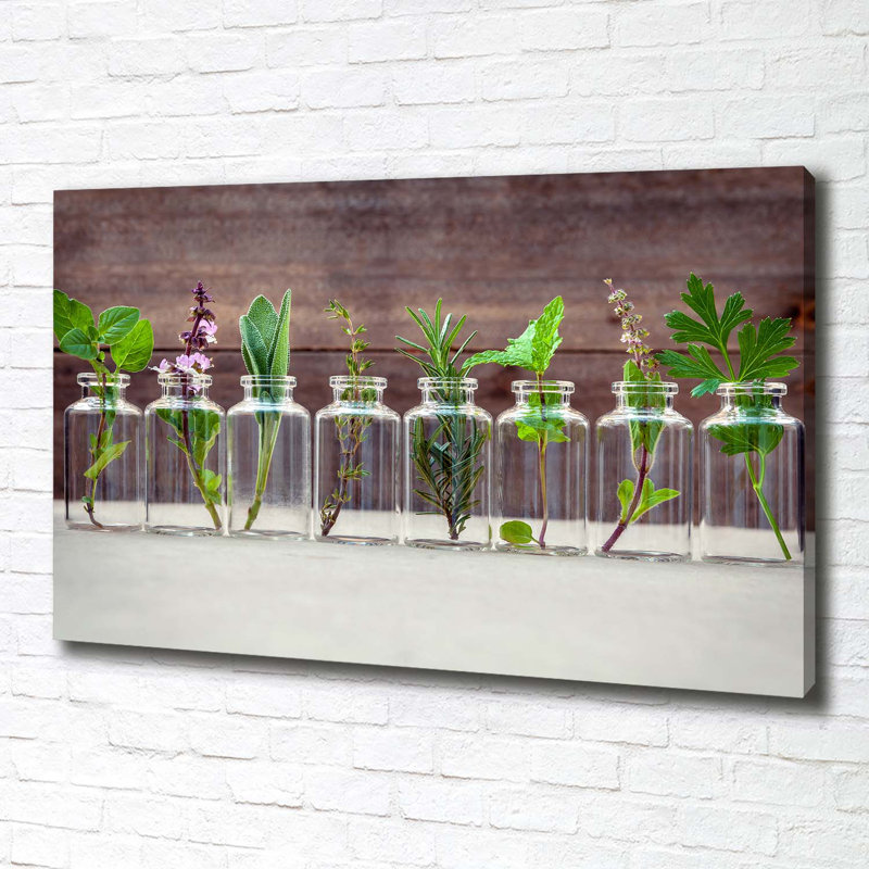 Plants In Jars - Wrapped Canvas Print