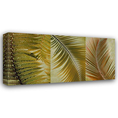 Bayou Breeze Anonymous Gallery Wrapped Canvas Art Titled: Palm Trio