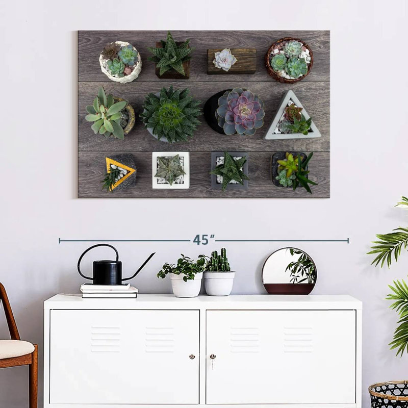 Harnek Assorted Succulents, 26" H x 39" W