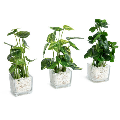 9.4'' Faux Foliage Plant in Glass Pot