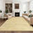 Machine Washable Area Rug for Living Room Modern Solid Color Throw Carpet for Bedroom Dining Room-429869070-435424475