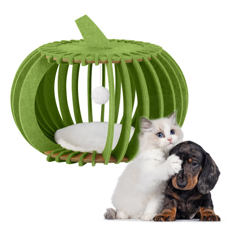 Lit pour chat en forme de citrouille pour chat, Vert