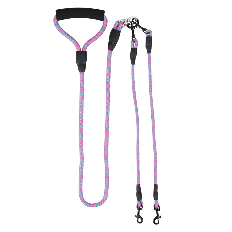 Double Dogs Leash