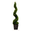 45 plantes