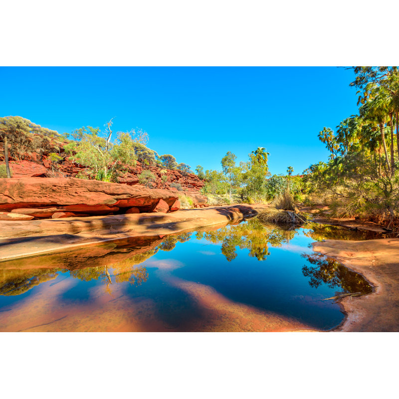 Palm Valley Oasis - Wrapped Canvas Print, 51cm H x 76cm W x 3.8cm D