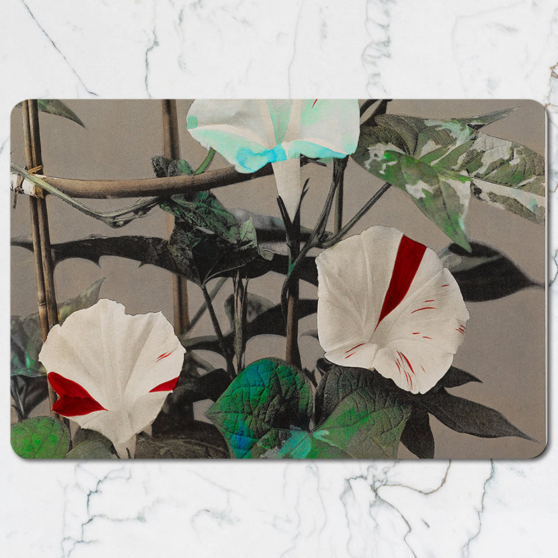 Butterfly Pattern Placemats And Coaster Set With Multicolor Designs