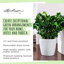 Classico Pot Planter-16493098-16493101