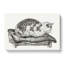 Cat Upon a Cushion by Jean Bernard - Wrapped Canvas Drawing - Wrapped Canvas-55371720