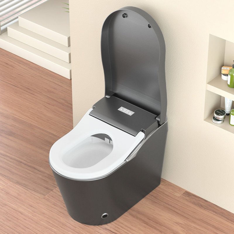 Modern Toilet With Bidet, Automatic Open And Close, Auto Flush, Heated Seat Adjustable Temperature, Warm Water Wash, Nozzle Positions - Grey, Siphonic Jet Flushing Bidet Open/Close, Seat, Foam