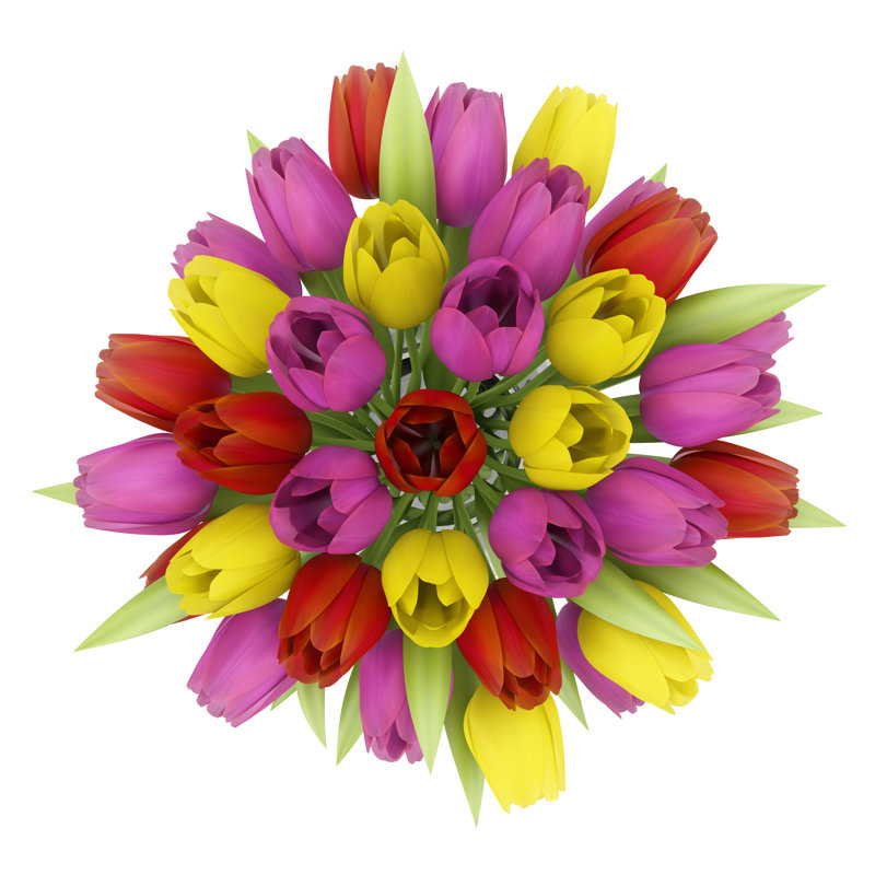 Top View Bouquet Of Tulips In Vase Isolated On White - Wrapped Canvas Print, 30cm H x 30cm W