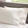Clean Design Home x Martex Anti Allergen Polyester Lumbar Rectangular Pillow Cover