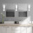 Binghamton Steel Armed Sconce-707314029