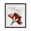 «Season's Greetings Holiday Amaryllis», reproduction sous verre encadrée, design par Albert Koetsier-1374817091-1374817089