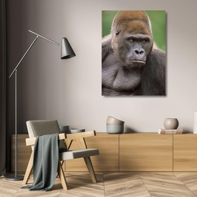 «Red Barrel Studio® Fitzharris, Tim», art sur toile tendu sous le titre: Gorilla 58956