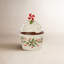 Lenox Hosting the Holidays Cupcake 12 fl oz. Candy Bowl