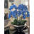 Orchid Arrangement in Planter-60993678
