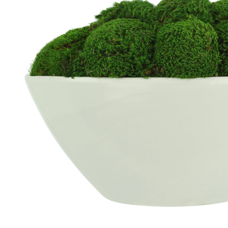 Corder Mood Moss dans un pot en céramique