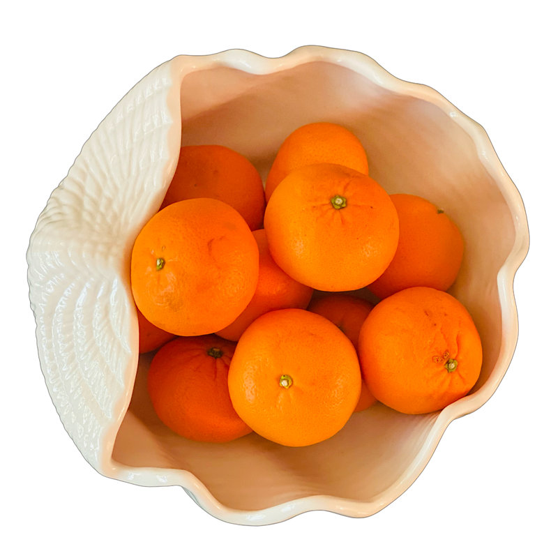 Rosecliff Heights Leveille Ceramic Serving Bowl