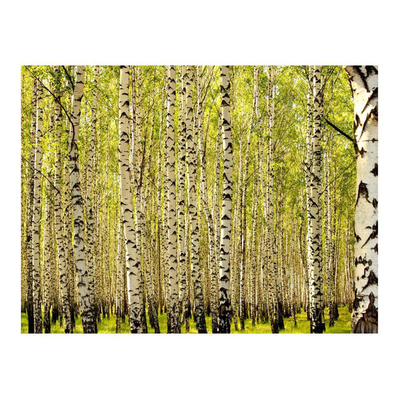 Daquavion Wall Mural, 106" L x 137" W