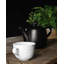 1.6L Porcelain Teapot