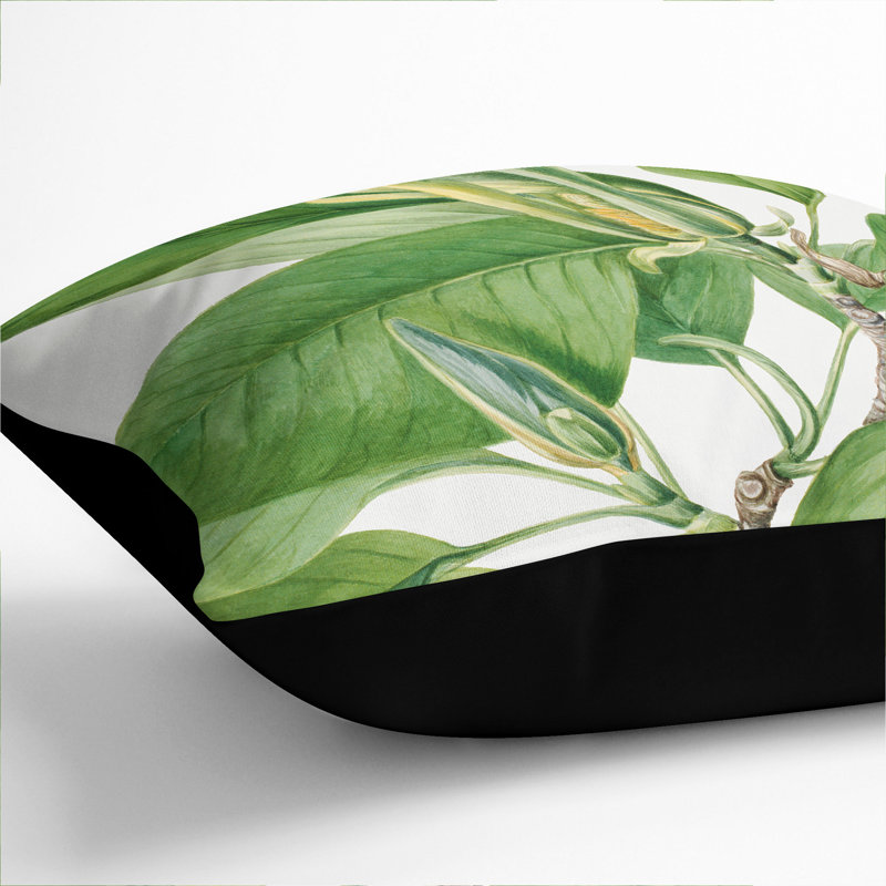 Cucumbertree Square Throw Cushion, Black, 55cm H x 55cm W x 20cm D
