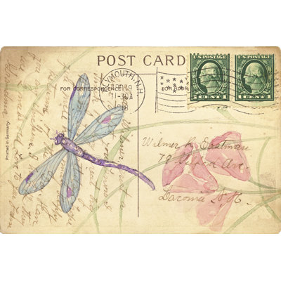 Postcard Dragonfly I by Nancy Shumaker Pallan - Wrapped Canvas Art Prints