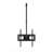 Winado Single Screen Ceiling Mount