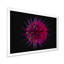 Impression sur toile mauve à motif floral cosmique-941905173-941905175