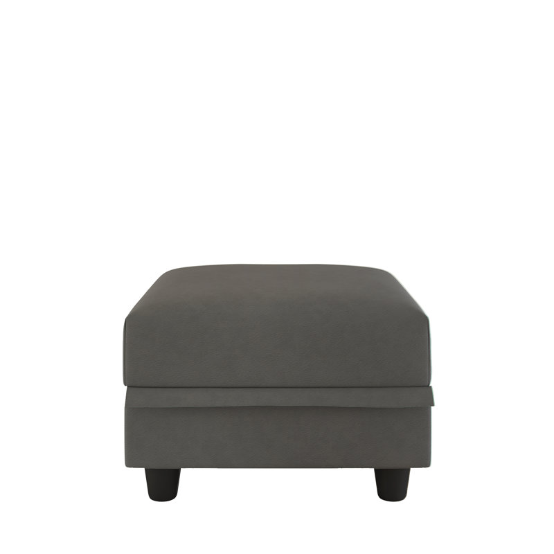 Tomario 25'' Fabric Storage Ottoman, Camel