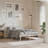 August Grove® Metal Bed Frame With Headboard-583643488-583643490