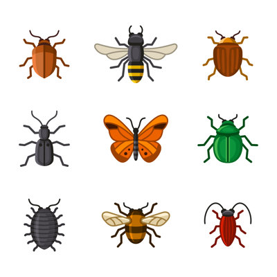 " Insect Icons " by In8Finity