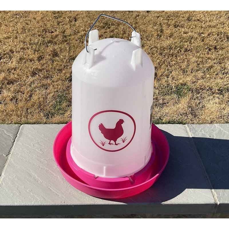 Abreuvoir à poulet 3,7 gallons - Fuchsia, 3,7 gallons, Rose