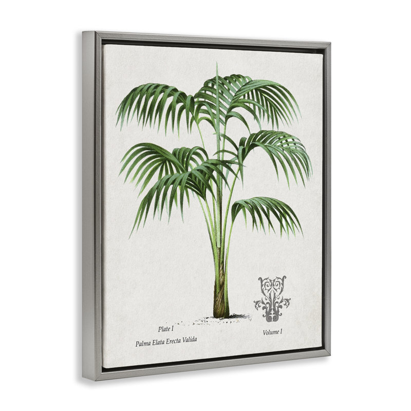 Cadre flottant Natural Palm Study, par Val Rhodes, H 21 po x l 17 po, Cadre flottant gris lustré