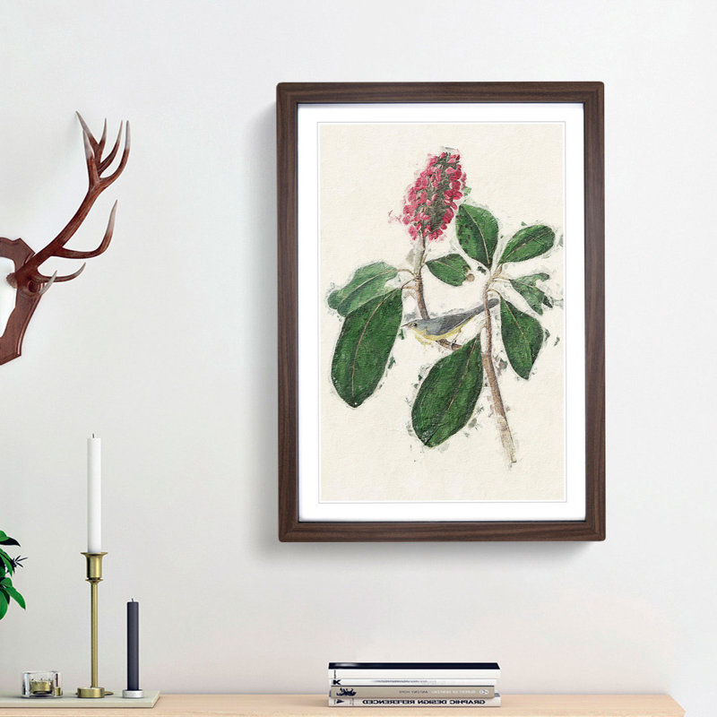 Bonaparte's Flycatcher Bird by John Audubon - Picture Frame Painting Print, 65cm H x 48cm W x 2cm D, Walnut Framed