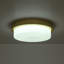 Brass LED Opal Glass Round Ceiling Light