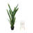 Snake Plant Drop-In and Ceramic Planter with Legs