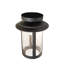 Plafonnier libellule 10 po Fulton