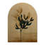 Burkley Plants & Flowers Wall Decor on Solid Wood-41106930-41106935