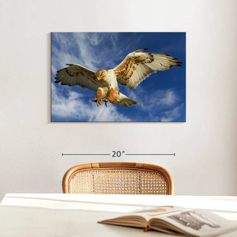 Brampt Hawk Attack, 16" H x 24" W