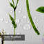 Rideau de douche avec 12 crochets-994252591