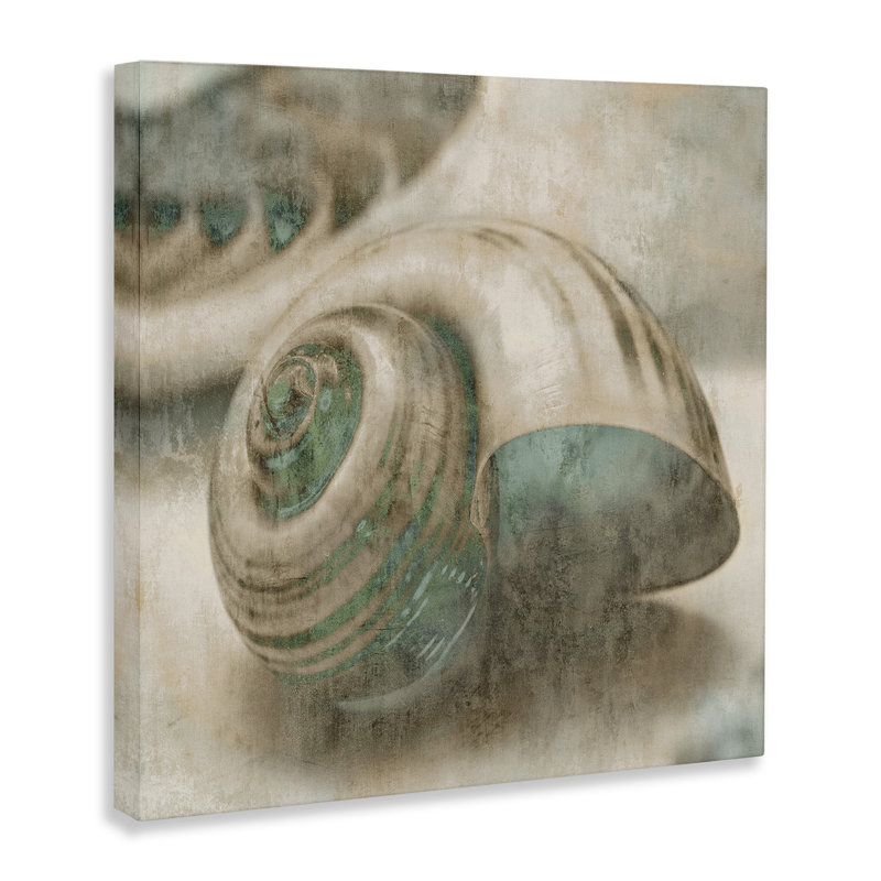 «Centered Sharkeye Seashell Texture patiné bleu clair» par Ziwei Li - impression d'art graphique, H 17 po x l 17 po