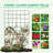 Metal Metal Decoration Trellis