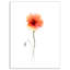 « large rose et rouge », reproduction d’art sur toile tendue-1847257050-1861727748