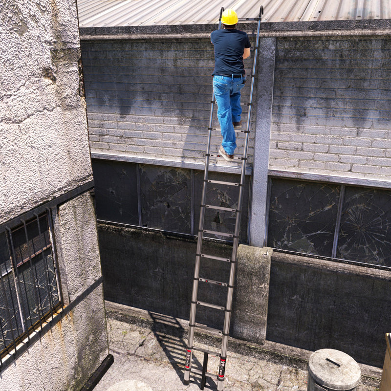 16 ft Blanket Ladder