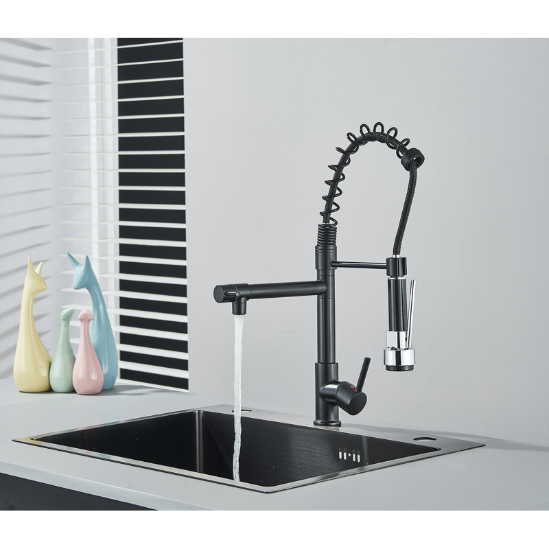 Belfry Kitchen Almena Pull Down Kitchen Faucet