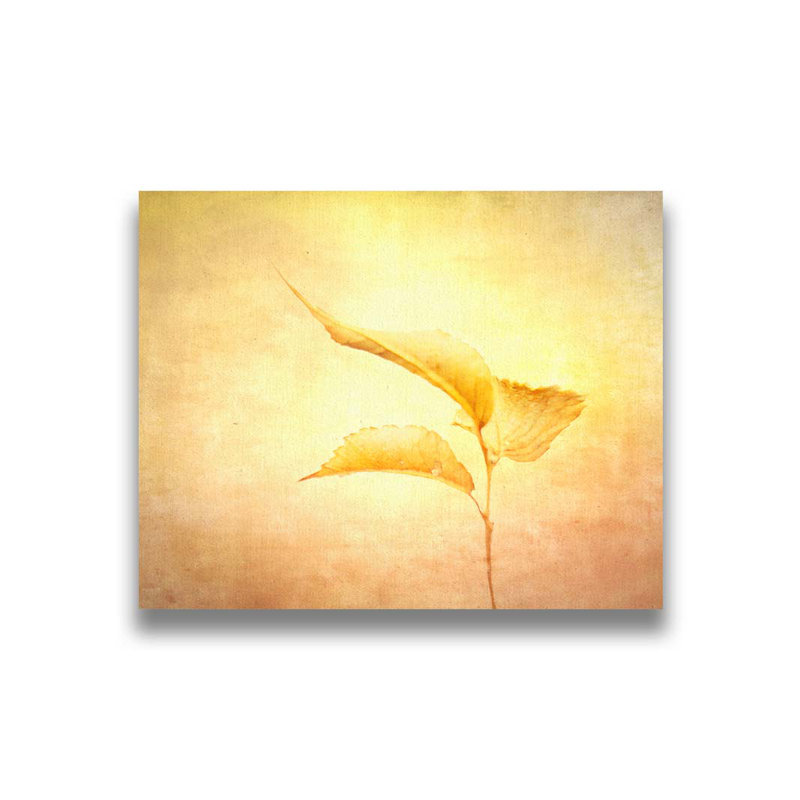 Autumn Triad par Hal Halli. Impression sur papier - Montée et encadrée, H 44 po x l 54 po
