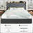Modern Upholstered Bed With Charging Station & Storage Drawers, Velvet Wingback Headboard,Queen/Full/King Size-2091463790-2091463776